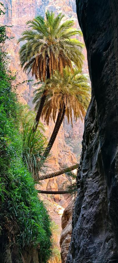 Dana Sunset Eco Camp Otel Dış mekan fotoğraf